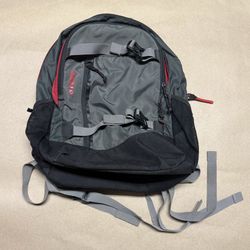 Burton Snowboard Urban Mountain Backpack Vintage Rare!