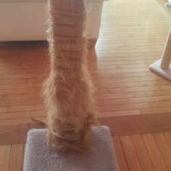 Cat Tower / Cat Tree / Cat Condo / Cat Post 