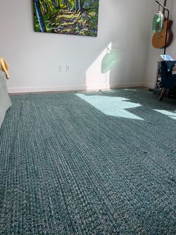 Large braided area rug 10 x 14