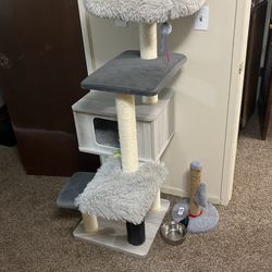 Cat Tree 
