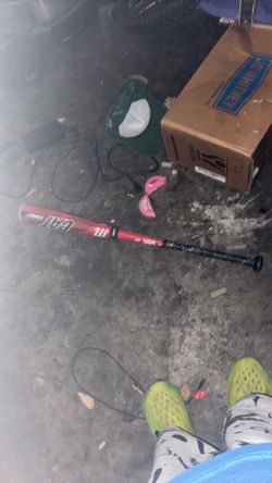 Cat connect baseball bat
