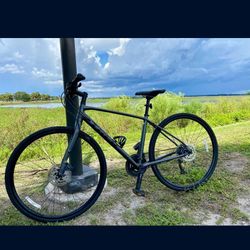 Bike TREK FX3