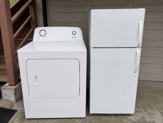 Dryer and fridge