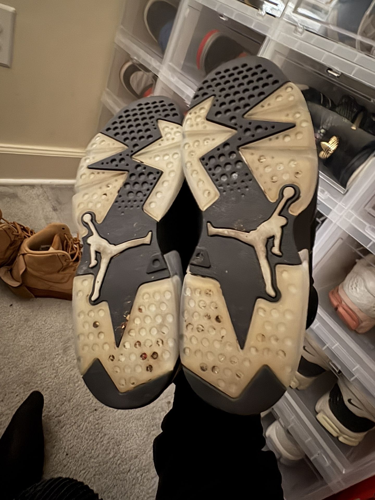 Air Jordan 6 Chrome size 10