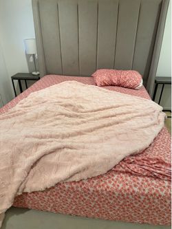 Free Bed and couch and closet