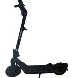 Segway Scooter