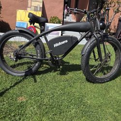 Electric Bike 
