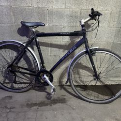 Trek Hybrid Bike 