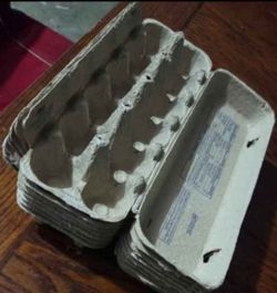egg cartons