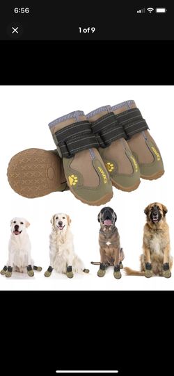 Dog Shoes