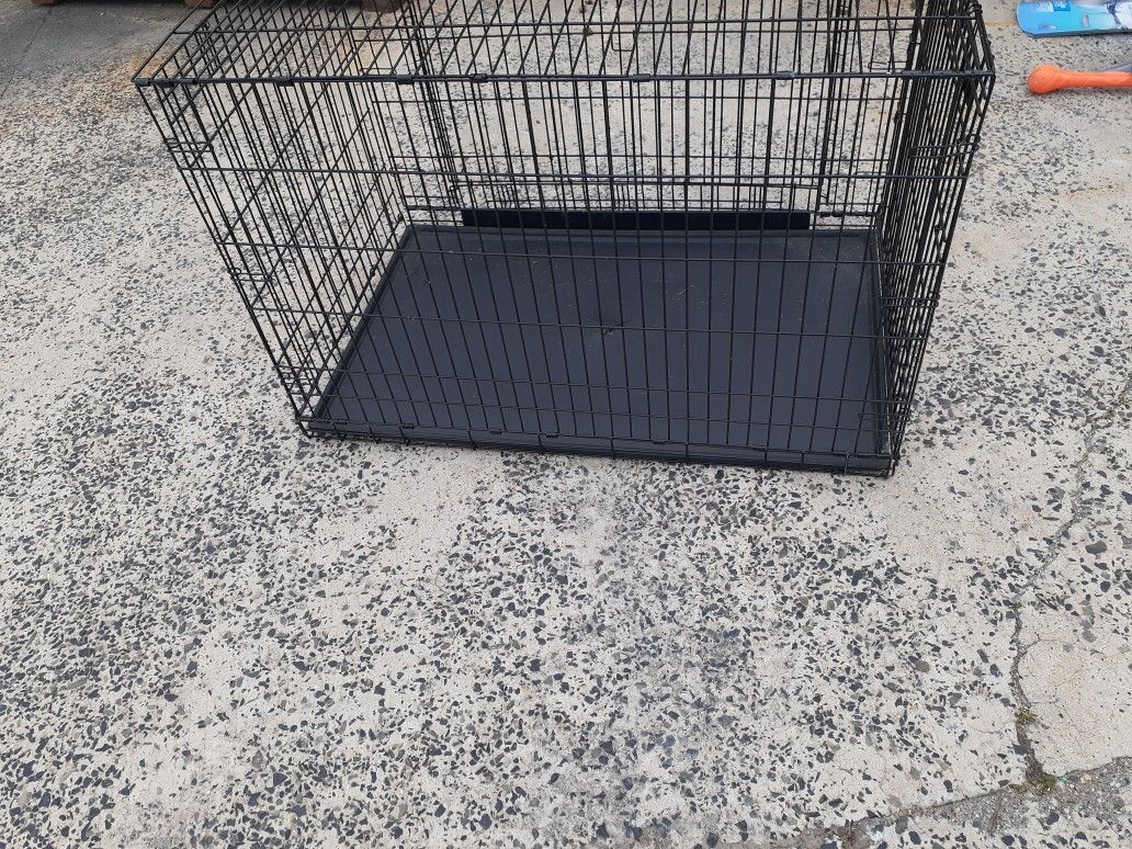 Large Kong Dog Crate With 2 Kong Crates Mats & A Open'N Stop Safety