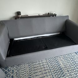 Crate & Barrel Queen Sleeper Sofa