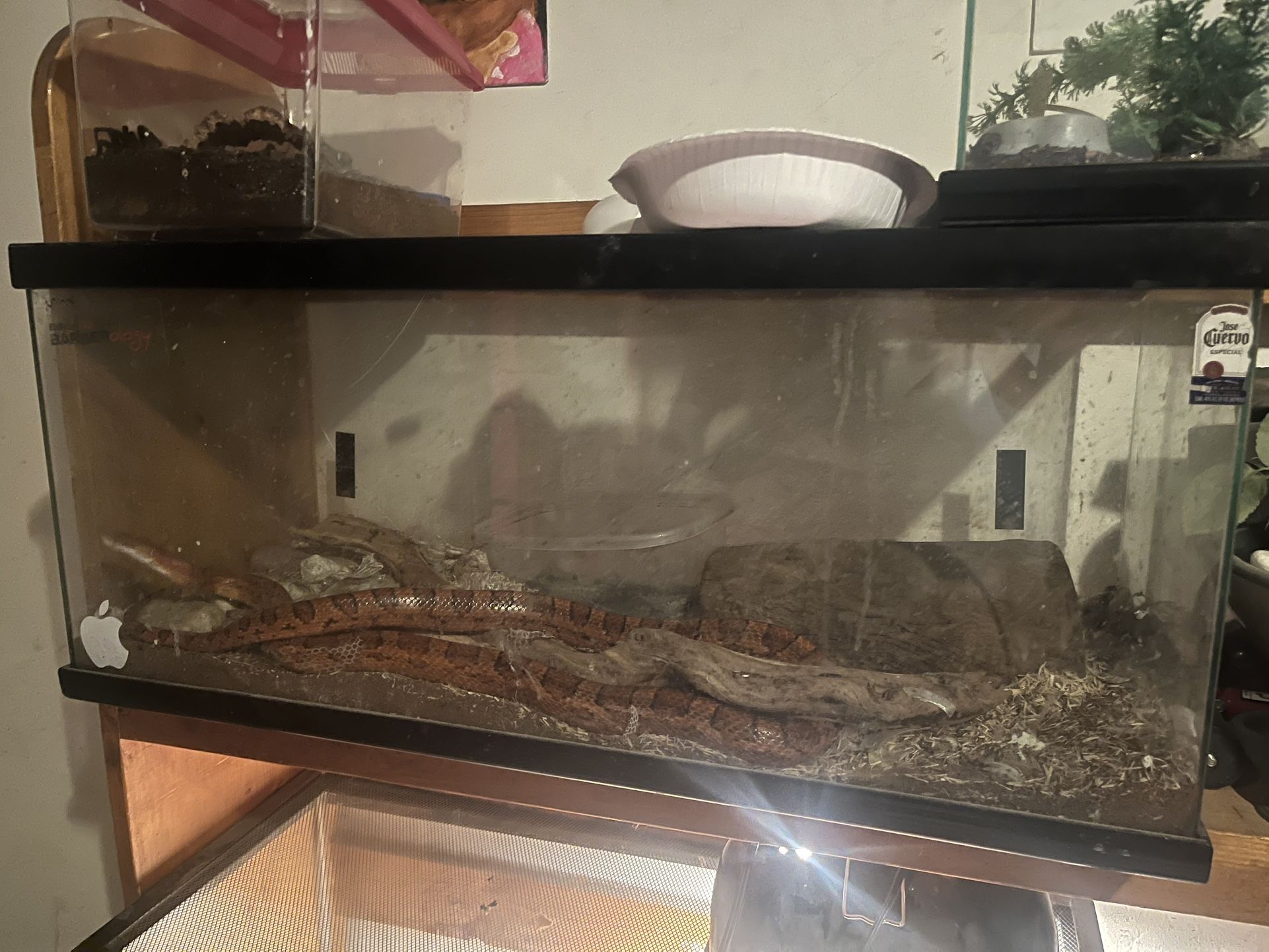 Tank And Everything Included