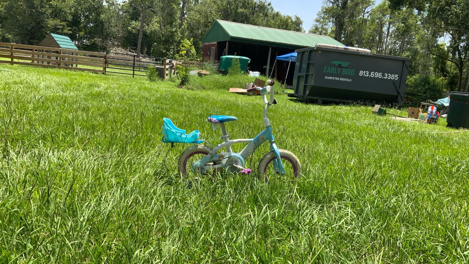 Blue Elsa kids bike