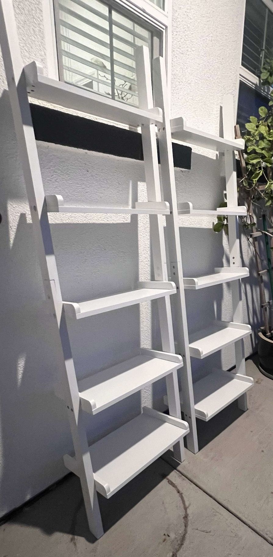 Ladder Book Shelf