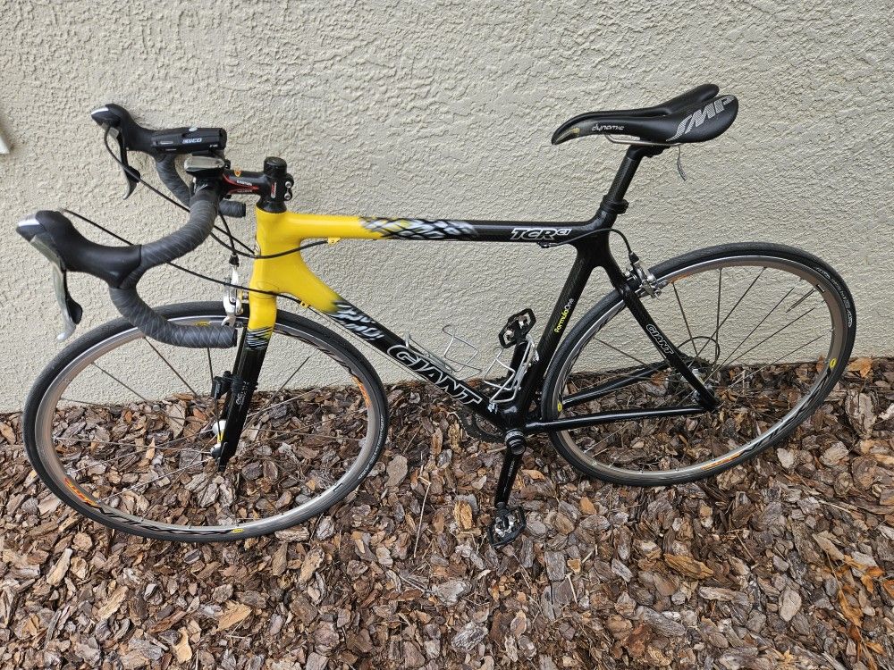 2010s GIANT