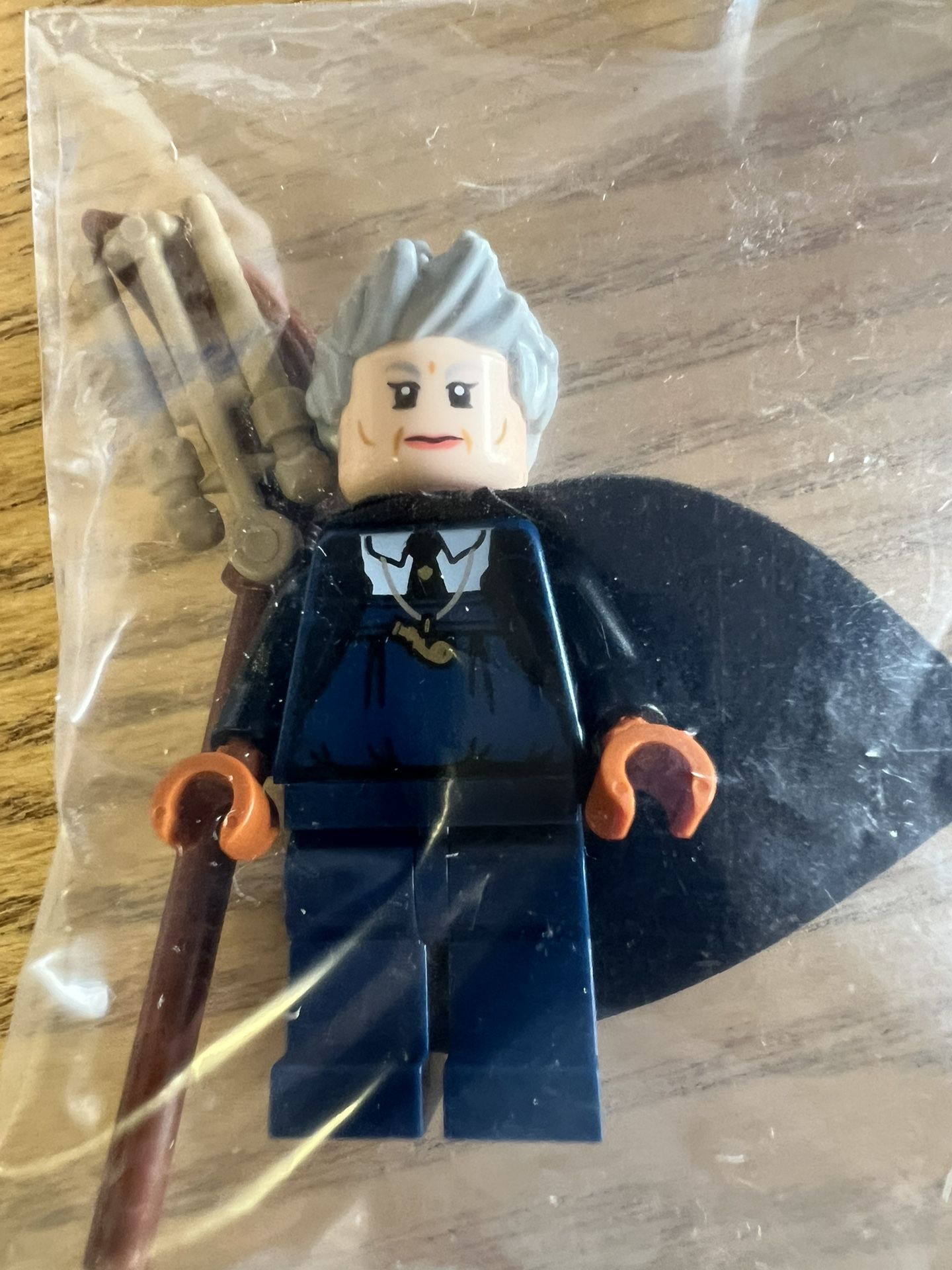 LEGO 76395. Harry Potter. Madam Hooch