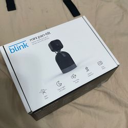 Blink camera
