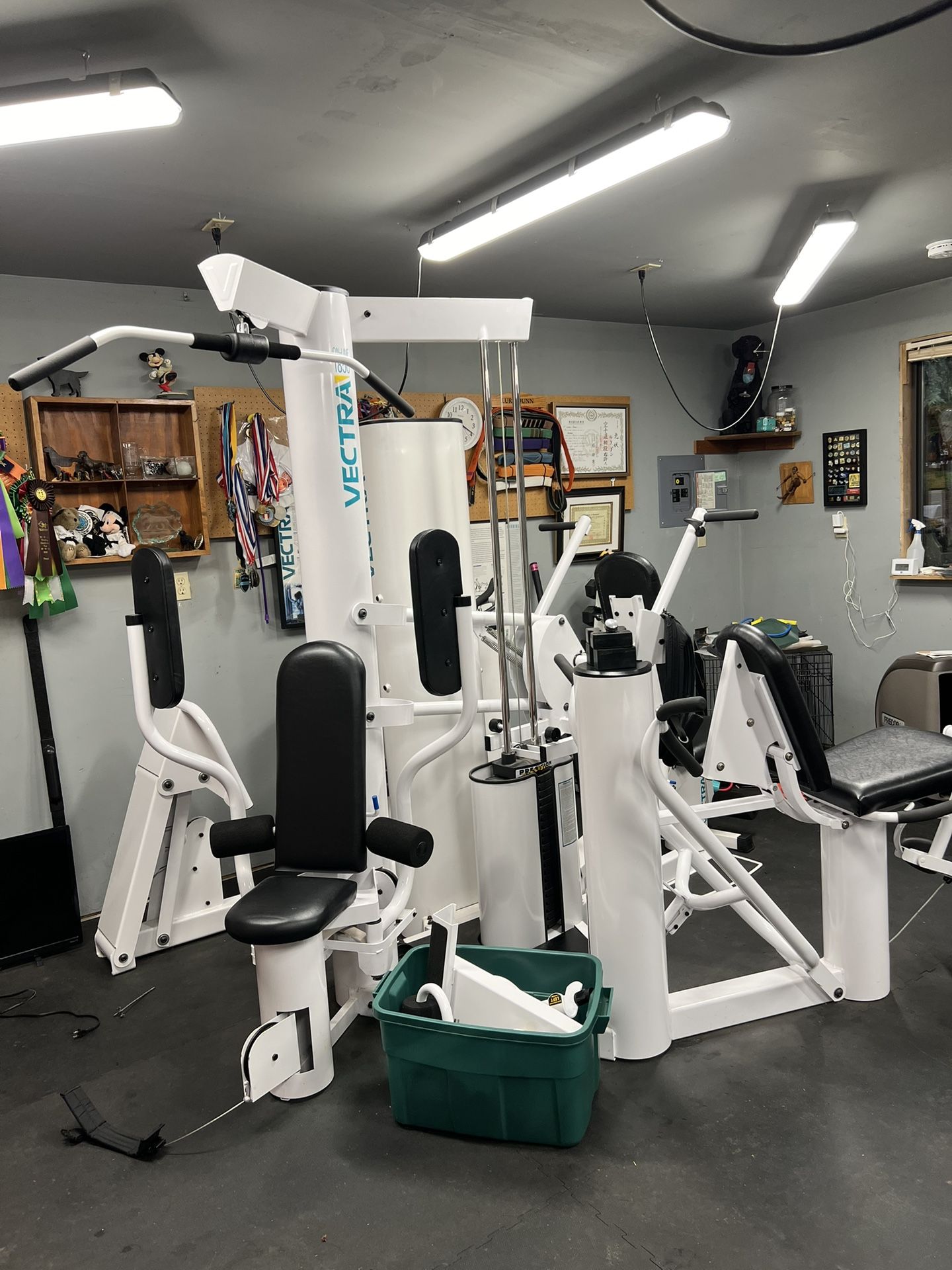 Vectra Single Stack Weight Machine On-line 1850 With Added 1150 Leg And Arm Stations