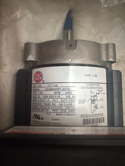 Pool pump motor