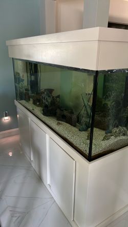 Aquarium