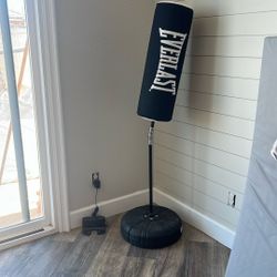 Mini Everlast Punching Bag 