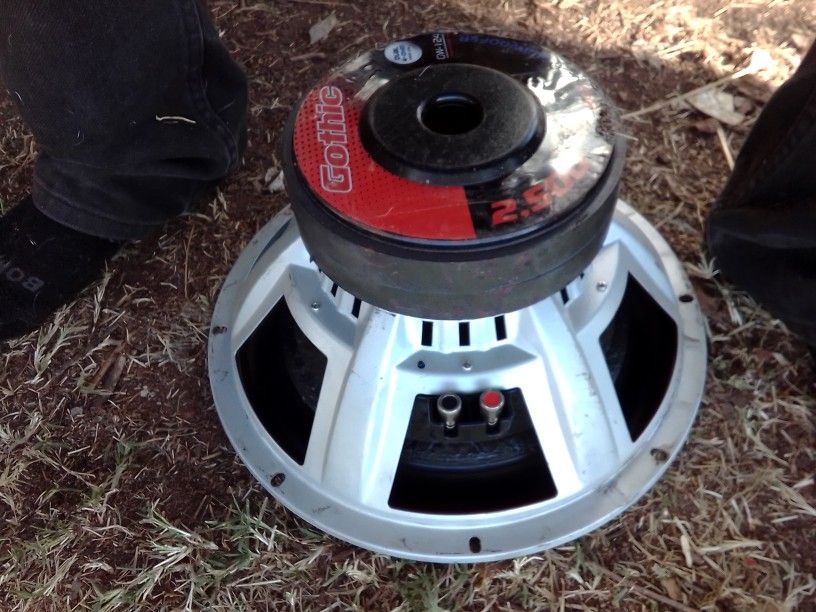 Power Accoustiks 2500 Watt Woofers and Amp