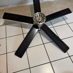 Ceiling Fan