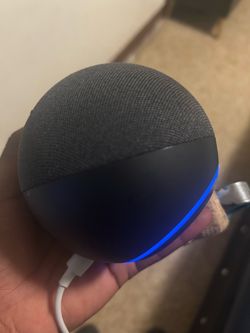 Amazon Eco Alexa speaker