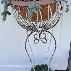 Garden Decor