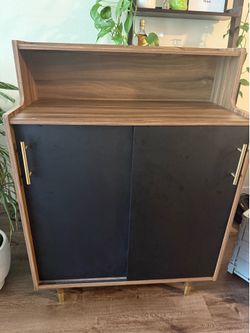 Cabinet / Shelf with Doors
