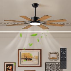 Ceiling Fan with Lights