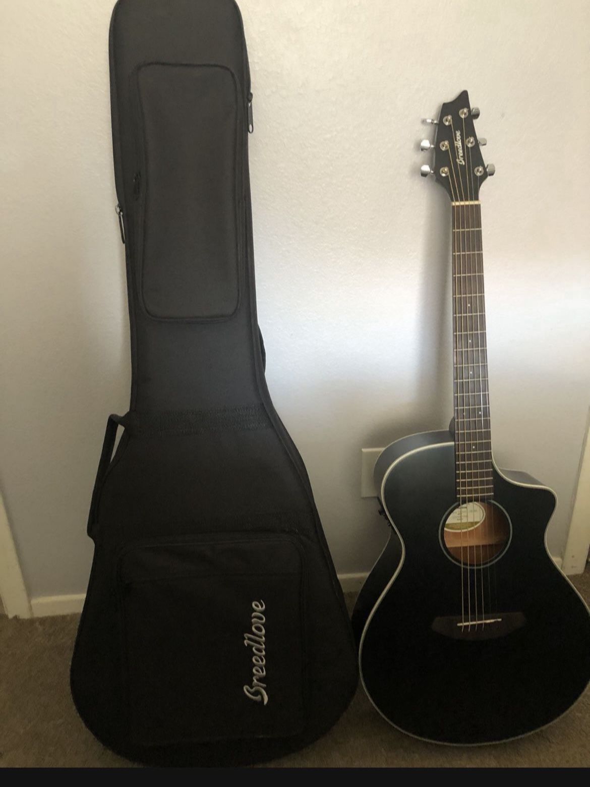 Acoustic/Electric Guitar