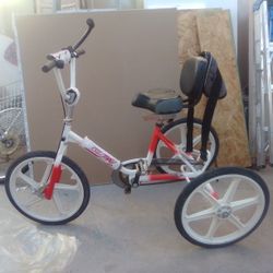 Raleigh Vektor Bike Custom For Special Needs