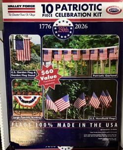 10pc American Flag Set