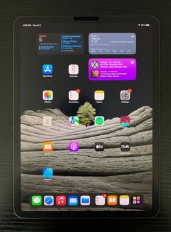 256GB iPad Pro 11inch (2nd Gen) Space Grey With Extras!!!