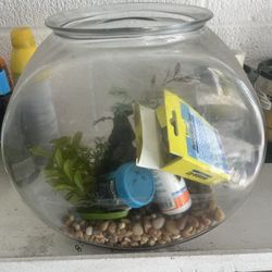 Fish Bowl