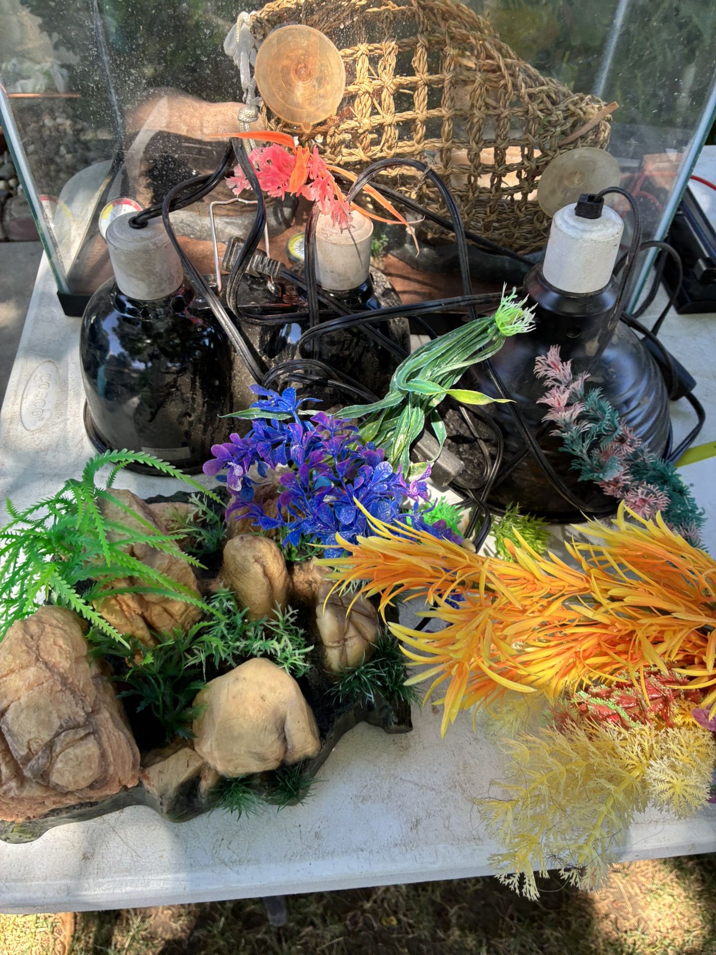 Aquarium And Supplies