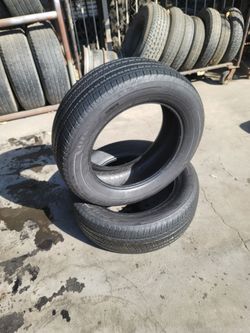 255/60/19