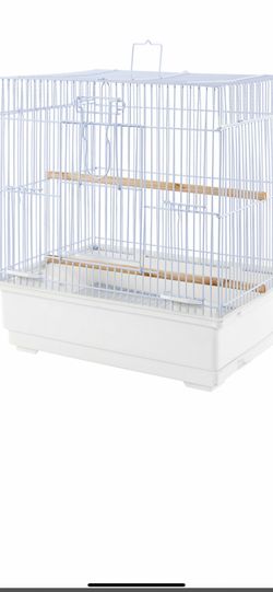 Cotorritos Buscando Nuevo Hogar 