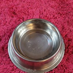 Dog bowl
