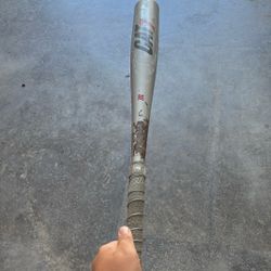 Marucci cat 7 baseball Bat 31 Inch Drop 8 Usssa Bat 