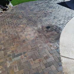 Pavers & Turf 