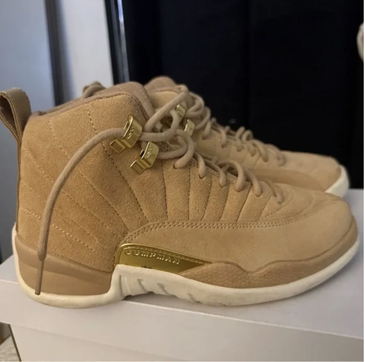 Air Jordan 12
