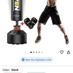 Free Standing Punching Bag