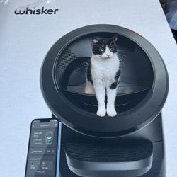 Amazing And Clean Cat Litter By Whisker