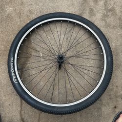 Bicycle Tire and Wheel