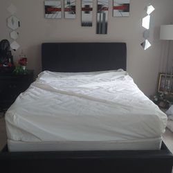 Moving Sale: Queen Bed Frame #2