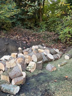 Large load of firewood $100 cash