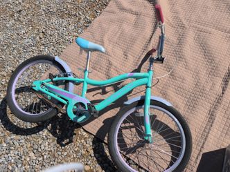 20" Schwinn bike girls